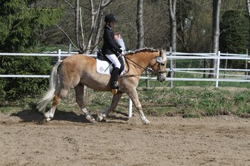 Bild 458 - WBO-Turnier am 9.4.11